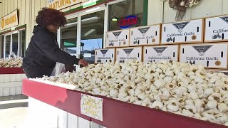 The food documentary series from netflix called “rotten” accuses
nation’s largest garlic producer — gilroy’s christopher ranch of
being involved in a p...