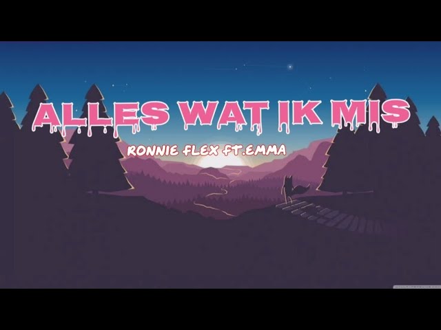 ALLES WAT IK MIS LYRICS| RONNIE FLEX ft. EMMA HEESTER