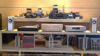 AURIS Audio Poison 1 speakers + Accuphase E 301 amplifier + Pioneer DV 989 AVi dvd player