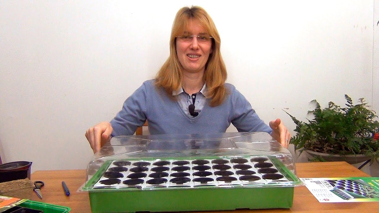 Обзор емкостей для рассады.