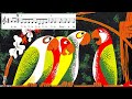 Behind the Music of Disney's Enchanted Tiki Room | Dreamsounds