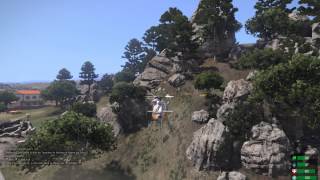 ArmA 3 le bug Net Worth