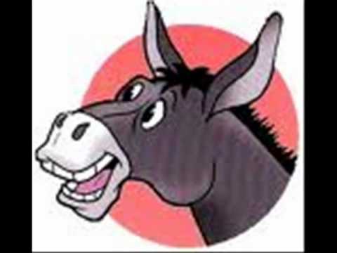  قصو ايدي
