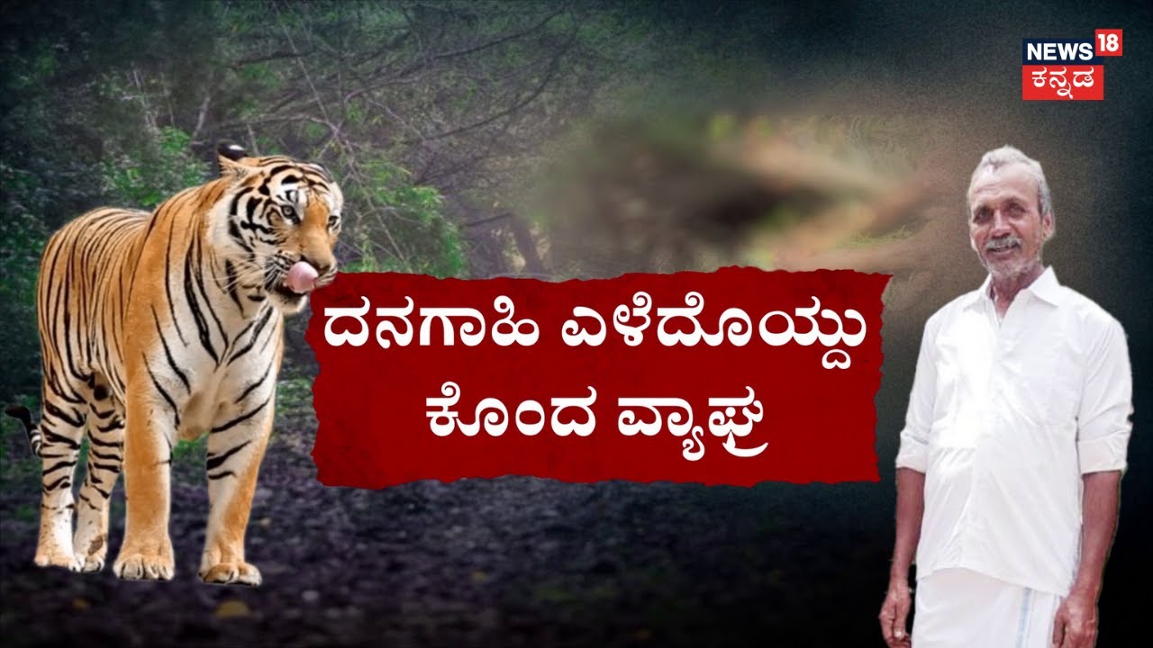 Tiger Kills Man in Mysuru | ಹುಲಿ ಸೆರೆಗೆ ಆಗ್ರಹಿಸಿ ಗ್ರಾಮಸ್ಥರ ಪ್ರೊಟೆಸ್ಟ್​​ | Shocking Incident
