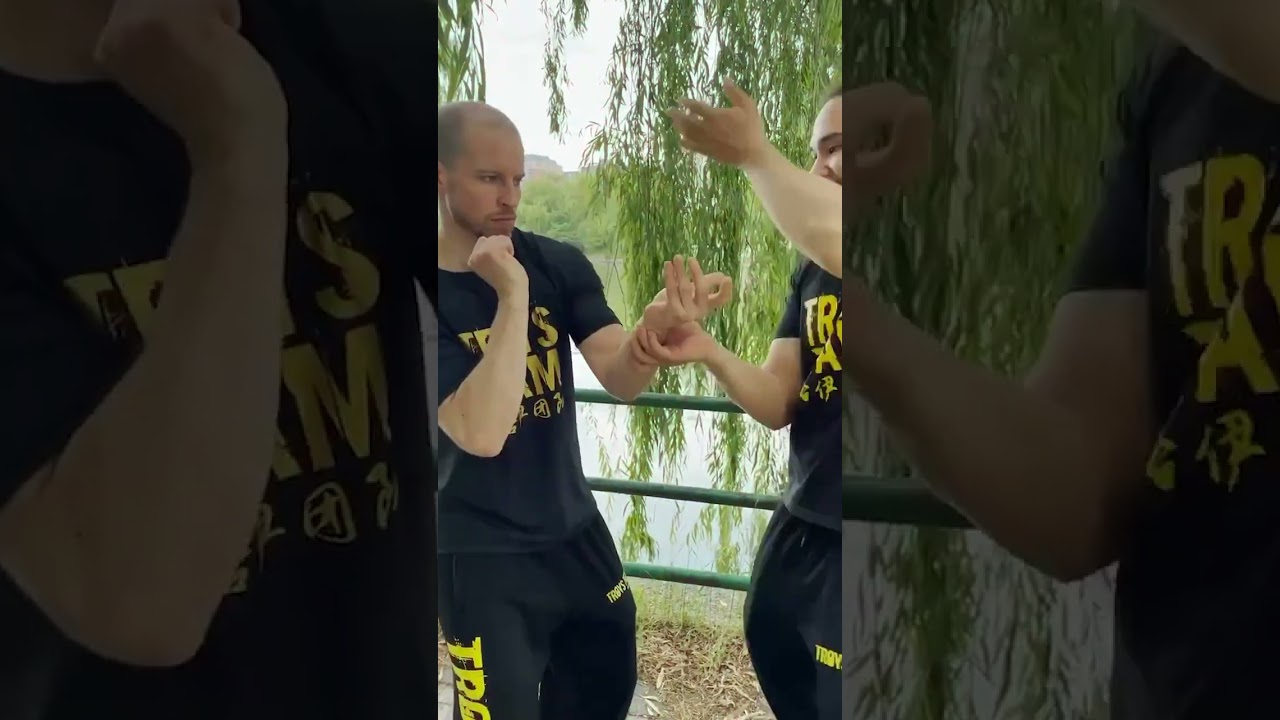 Joint Lock Master for Martial Arts - pop and lock Joints