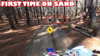 FIRST TIME riding on proper SAND | The Sandpit - Woodhill