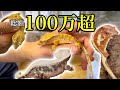 ブリーダー兼YouTuberのこだわりクレスがやばすぎた