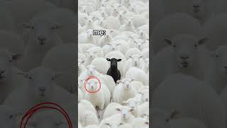 Take the road most traveled🖤