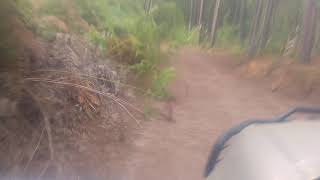 La Sierra de balcones Michoacán