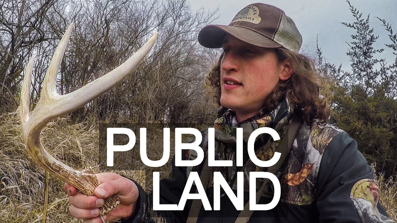 Shed Antler FOUND Right off the Road - Overlooked Hunting Spots on Public Land