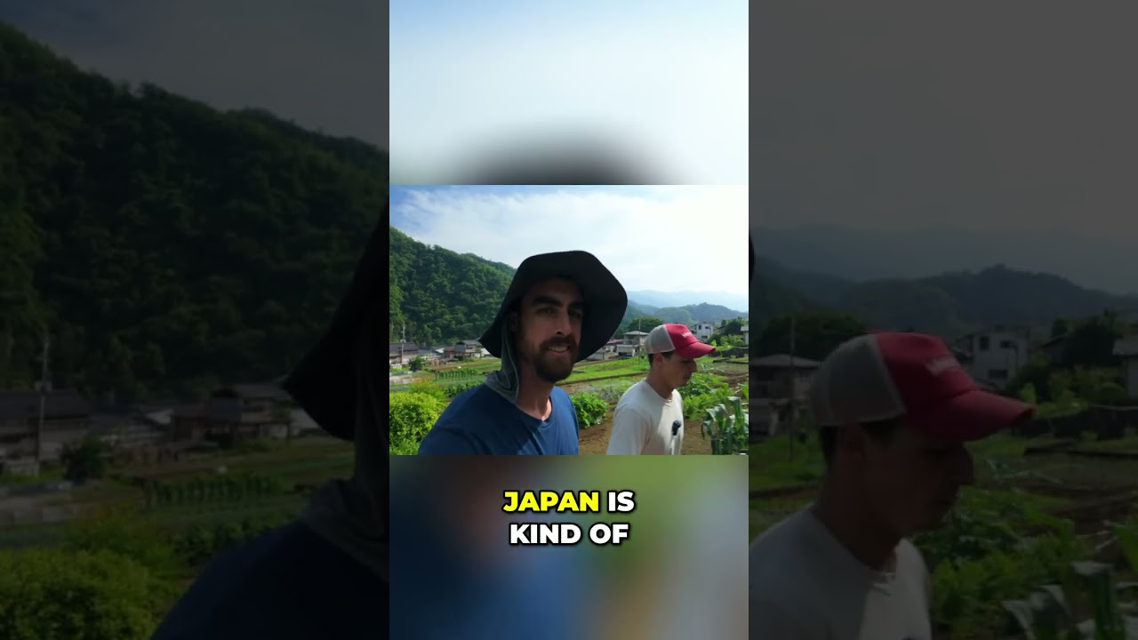 Japan’s Amazing Village Life & Community Gardens Revealed!