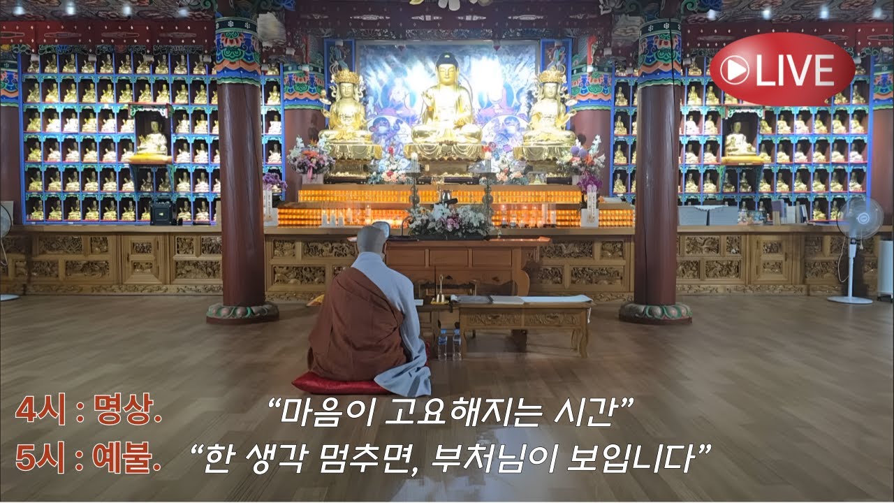 자재공덕사 새벽예불 라이브 4시명상 5시 예불 발원 축원 새벽기도 대구 기도도량