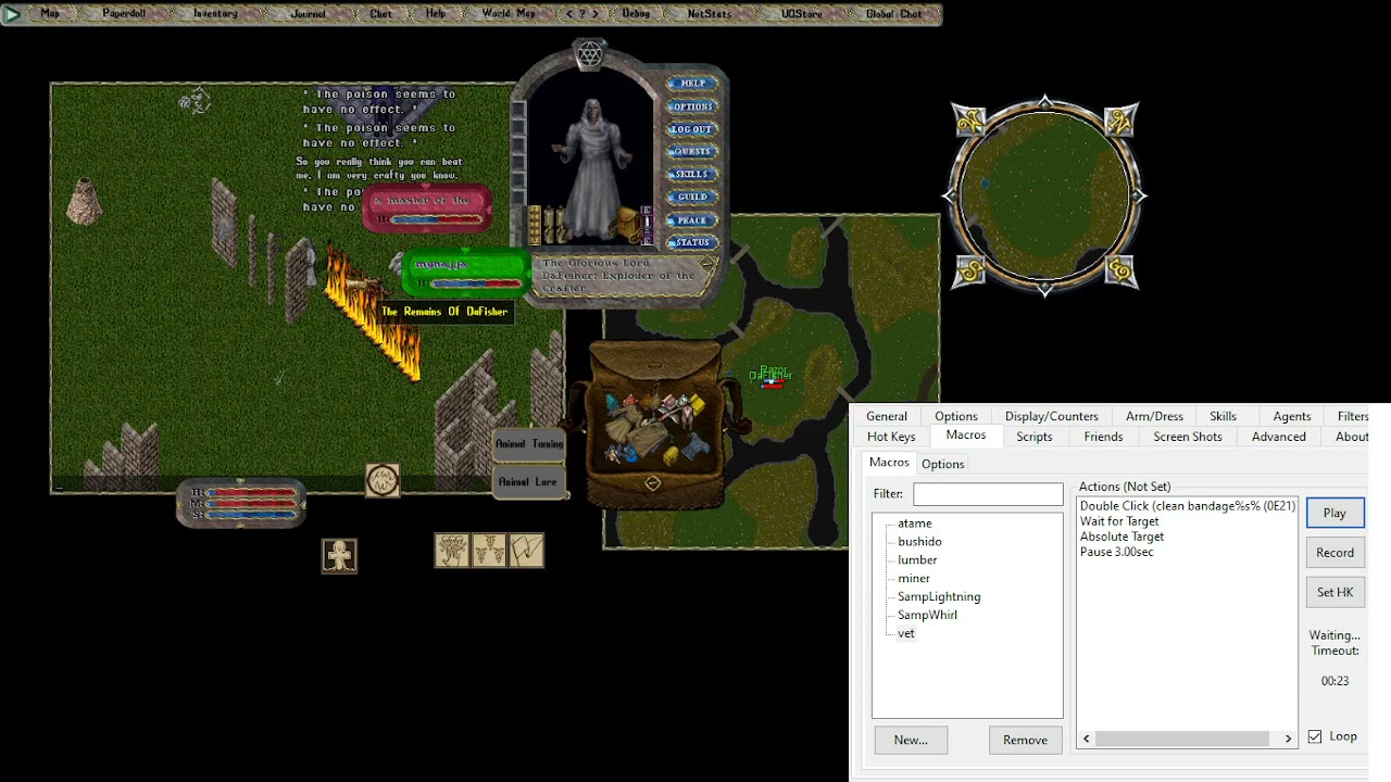 Ultima Online Champion Spawn Solo GM Tamer YouTube