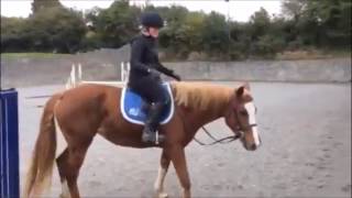 Opening the gate on horseback