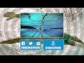 30 second knockout from Steven Donnelly | Unmissable Moments