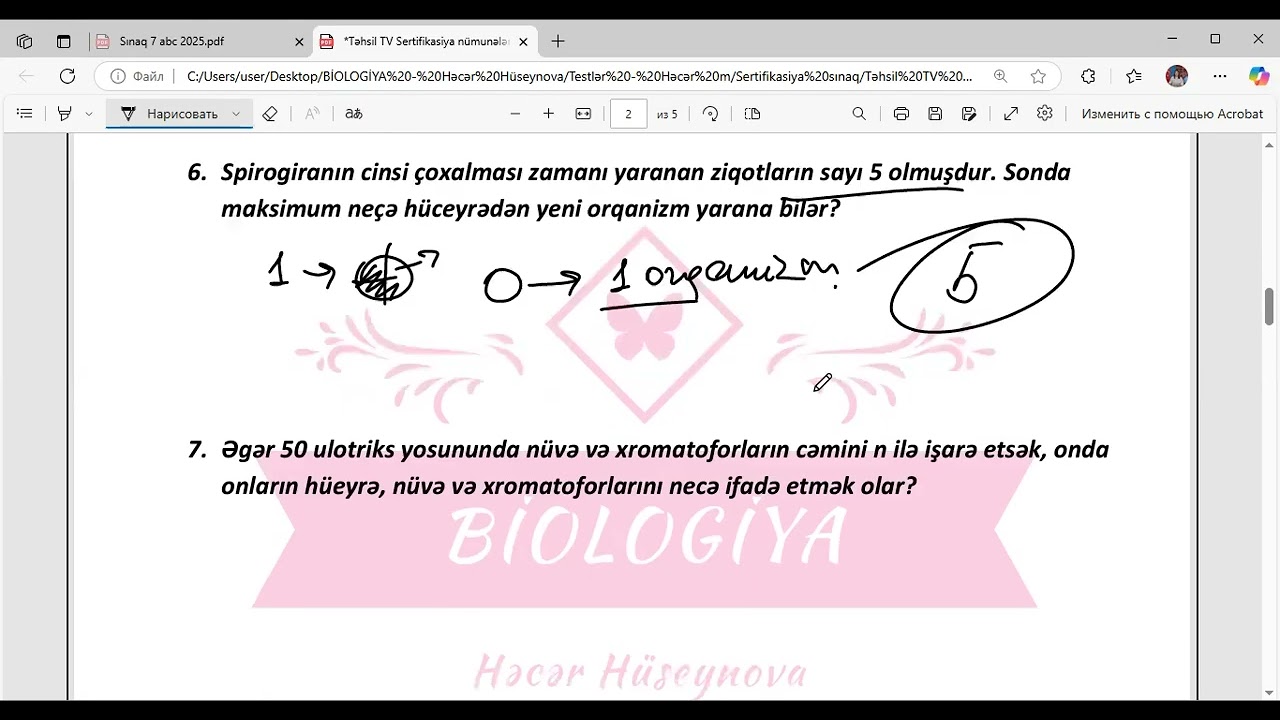 Sertifikasiya nümunələri