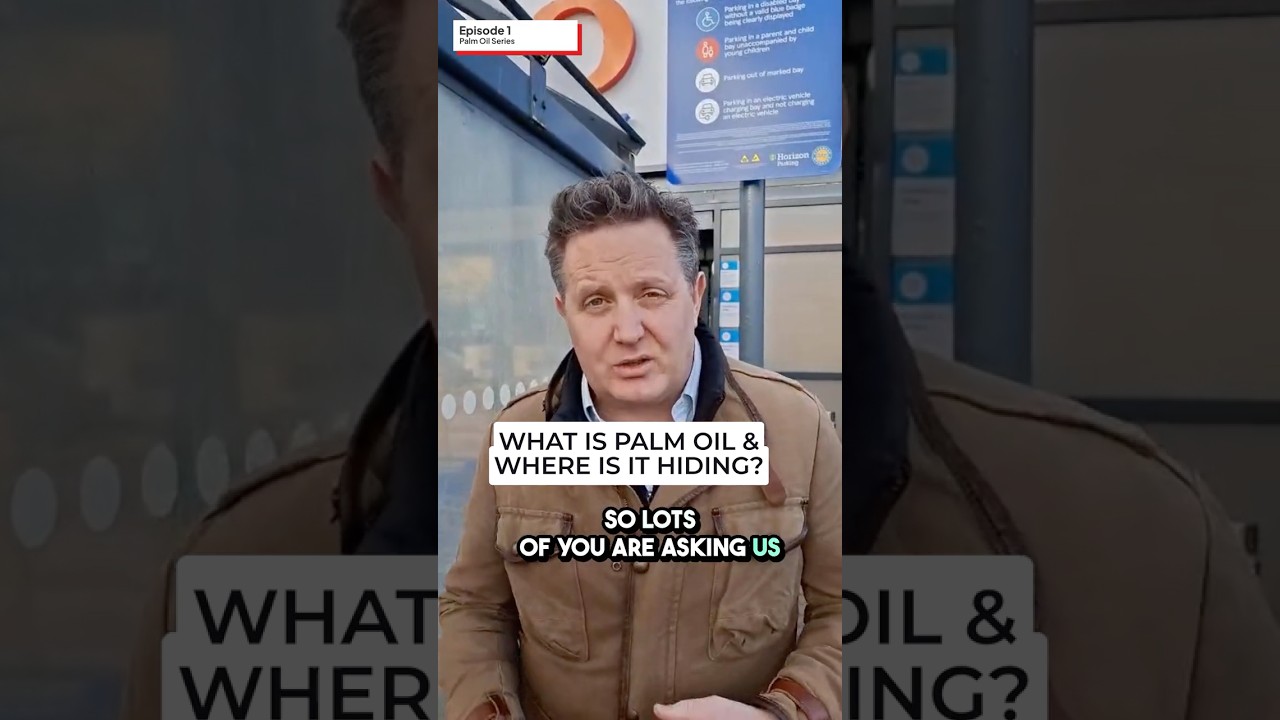 Пальмовое масло имеет множество названий — вот как его распознать.