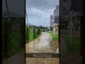 اشتقت لك تحت المطر