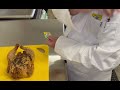 Keep It Clean: Using Our New Food Thermometer Probe Wipes