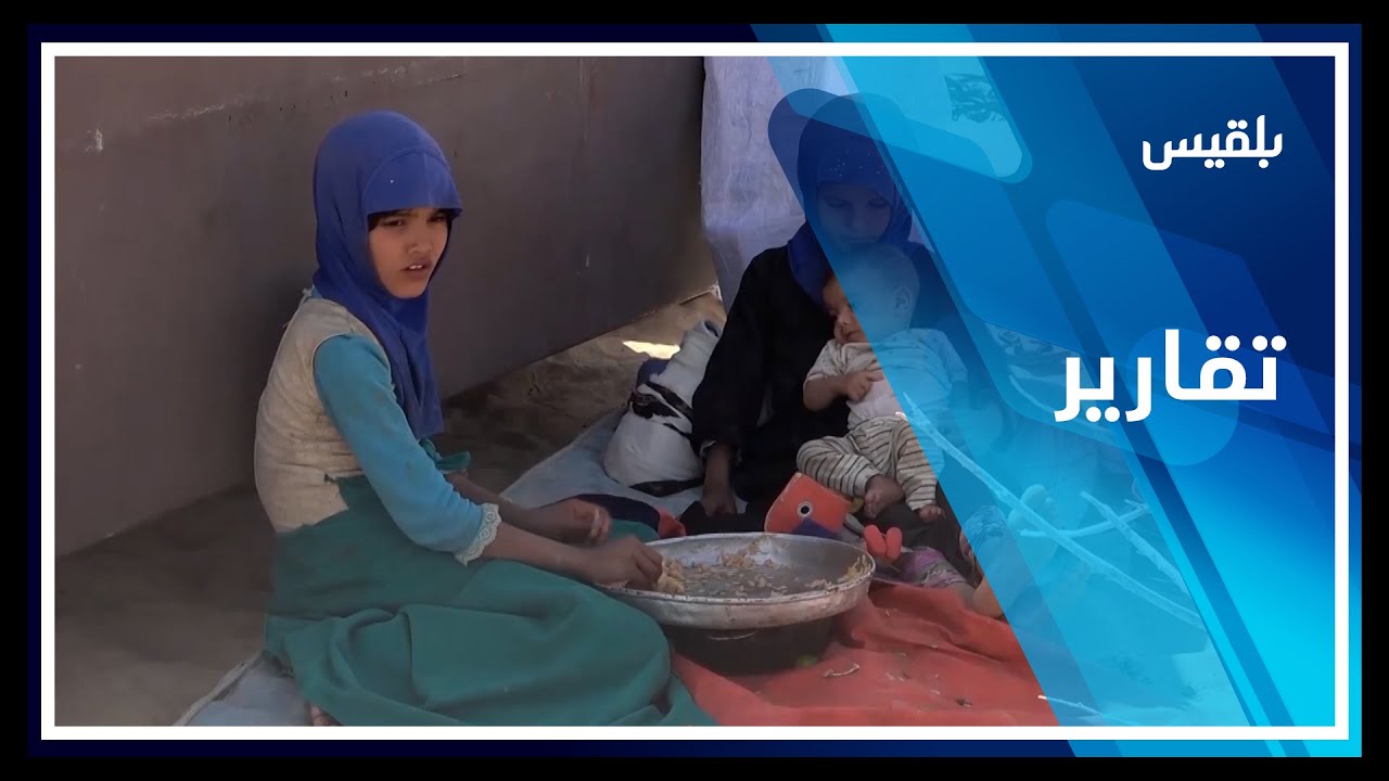 محافظة مأرب.. بلقيس تواصل نقل معاناة النازحين في صحراء النقيعة بمديرية الوادي | تقرير: خليل الطويل