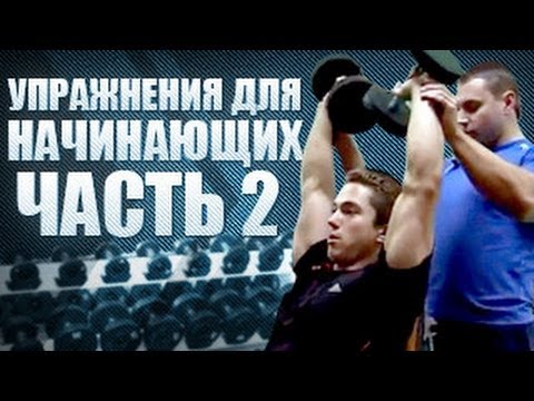 Nitrozine ������: ����.