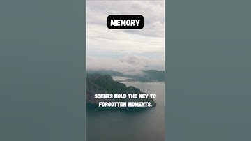 Scent and Memory: How Smells Unlock Forgotten Moments #Memory #Scent #Emotion #Shorts #Facts