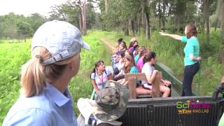 Learn about SciGirls 2015 Summer Camps!