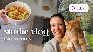 Studie Vlog  Productieve Dagen Van Een Alleen Wonende Student