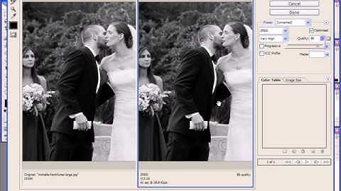 Photoshop Tutorial - How to Resize an Image and Save for Web