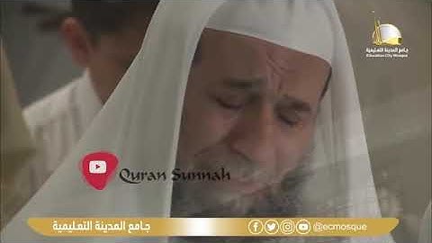 سورة الملك بصوت القارئ المبدع هيثم الدخين   تلاوة أبكت المصلين