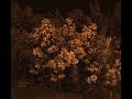 o[rlawren] - poiesis (Full Album)