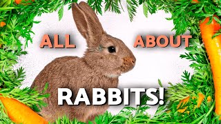 🐰 The Ultimate Rabbit Guide: Breeds, FACTS, SOUNDS & Behaviors EXPLAINED!