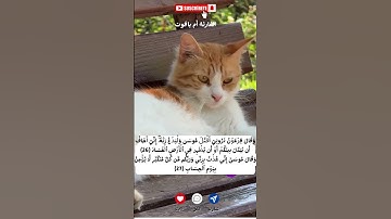 سورة غافر   #قرآن  #قران_كريم  #اكسبلور  #راحة_نفسية  #دين #اسلام #المصحف