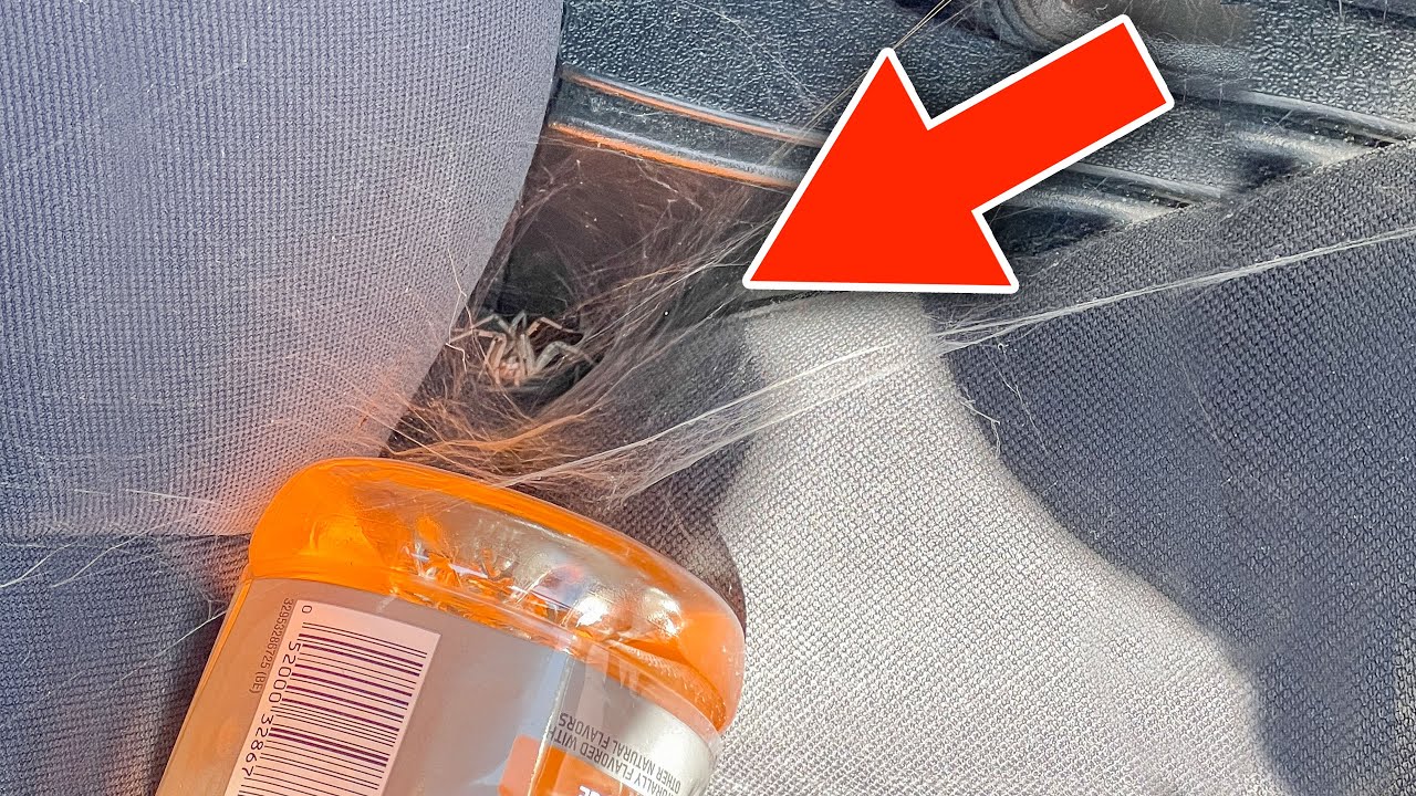 This Scared Me Good!!