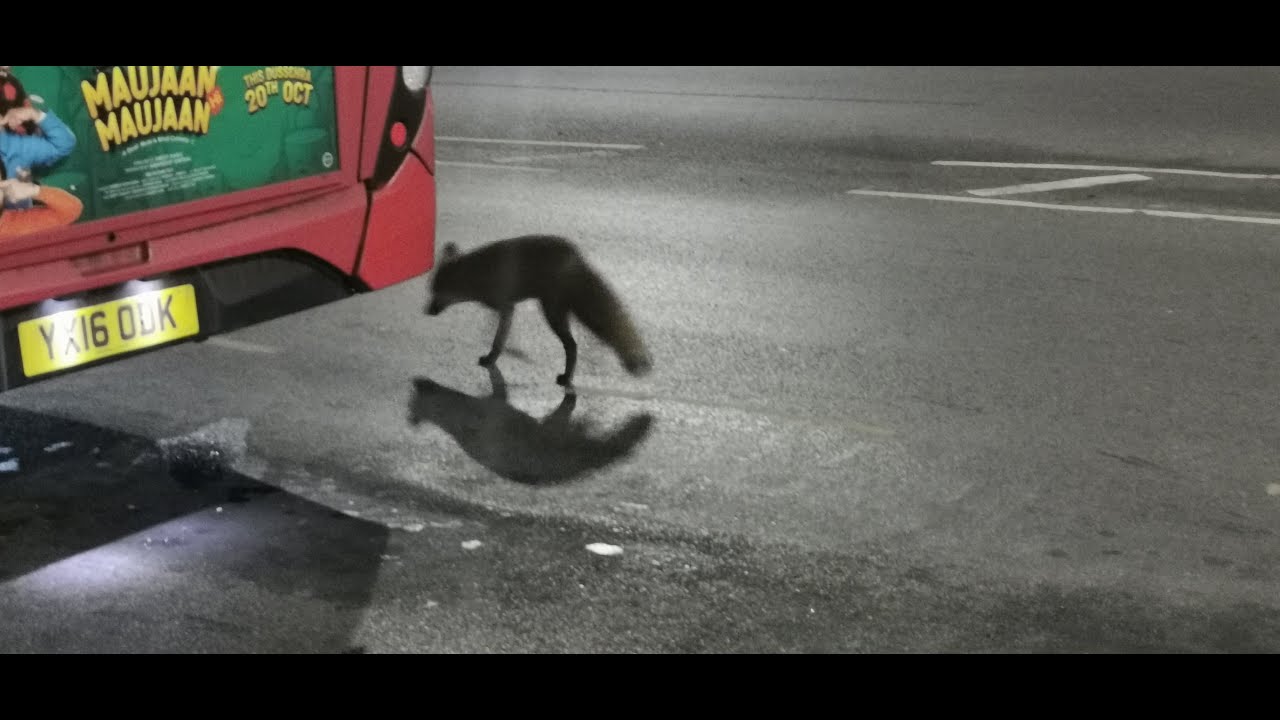 RATP London management is crooked. The Tyrant, The incompetent and how they Strong-arm drivers.