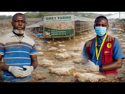 EXCLUSIVE: Grey Farms Owner Speaks After Losing 1,800+ Birds in Ghana’s Devastating Flood on Monday 