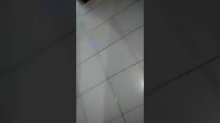 Khitanan Anak Bu Yuni