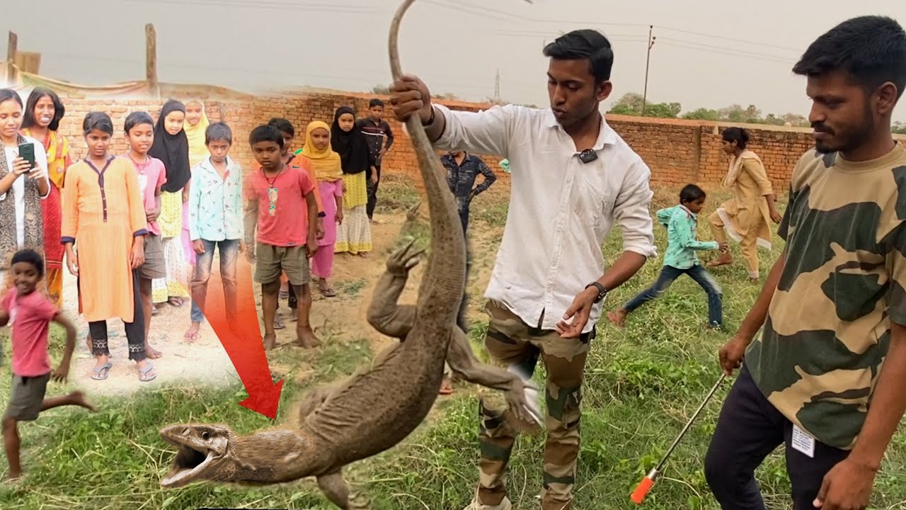 इतना बड़ा विष खोपड़ा बगीचे के अंदर घुस आया 😱 देखकर दंग रह गए सभी Big monitor lizard rescue at Bokaro