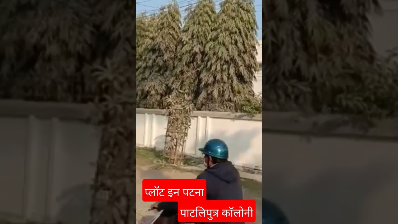 Plot in Patna/patliputra Colony/12kattha/clean plot!! YouTube