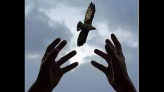Amazing Grace My Chains Are Gone - Chris Tomlin