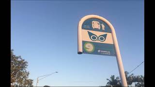 Adult Swim Bump - Bus Stop