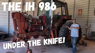 This will test my Limits!  Starting paint and sheet metal on the WORST IH 986!