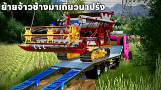 ผมย้ายรถเกี่ยวข้าวจ้าวช้างไวไฟ ไปเกี่ยวหน้าปรังข้าวสวยมาก 1 ไร่ | Farming Simulator 22 screenshot 2