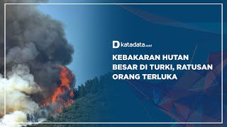 Kebakaran Hutan Besar di Turki, Ratusan Orang Terluka | Katadata Indonesia