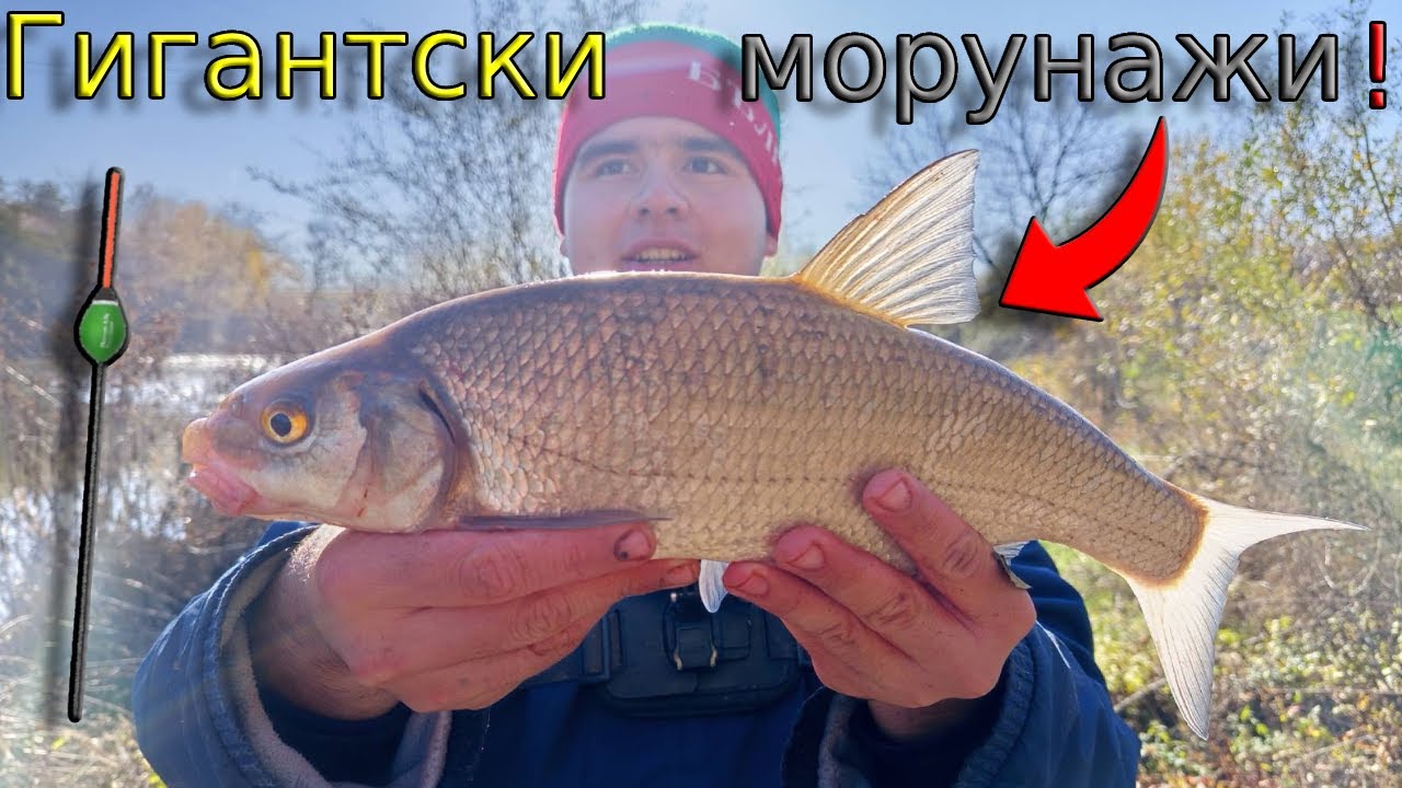 В търсене на ТРОФЕЙНИТЕ МОРУНАЖИ и СКОБАРИ! Риболов на ПЛУВКА по река Струма на ЧЕРВЕИ и ТРОХА!