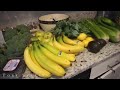 How to Start Eating Healthy snacks| Healthy food list | Detoxing healthy...