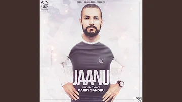 Jaanu