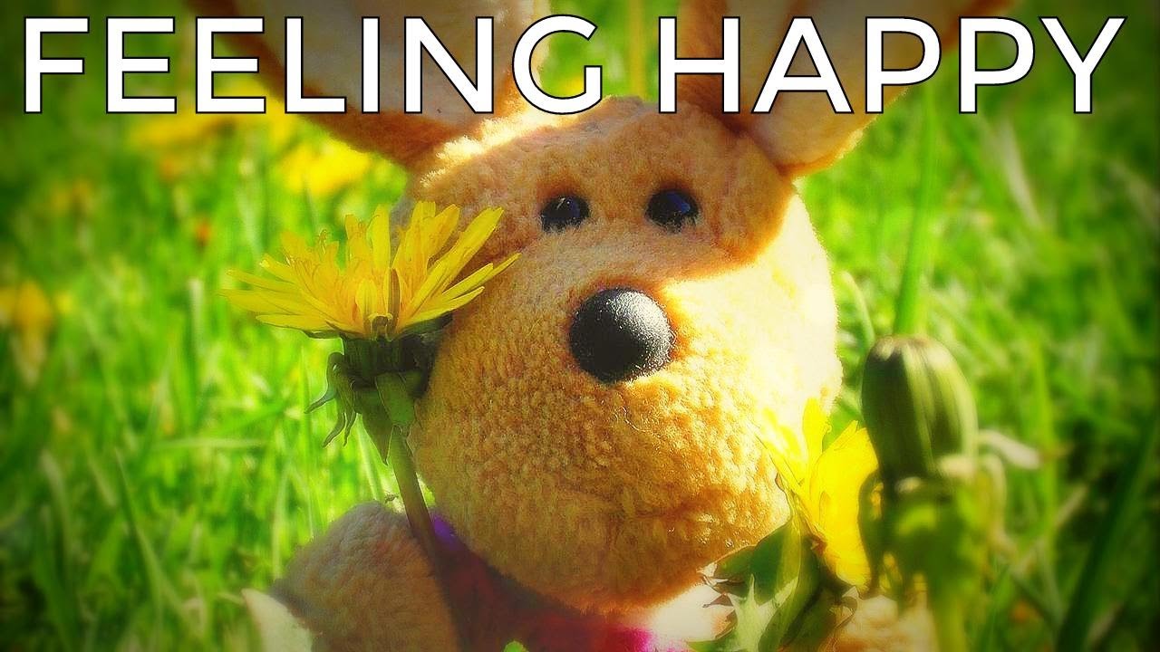 Feeling Happy Upbeat Instrumental Background Music for