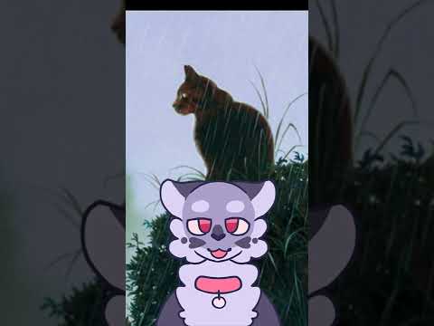 Why You Wouldn't Want to Live In #warriorcats #shorts