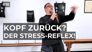 Wing Chun Fehleranalyse Warum Kopf - Zurückziehen Dich Kampfunfähig Macht